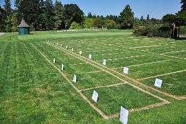 Jai Ambey Properties