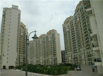 Jyoti Estate & Syndicate