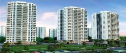 Tanu Properties & Finance in Delhi