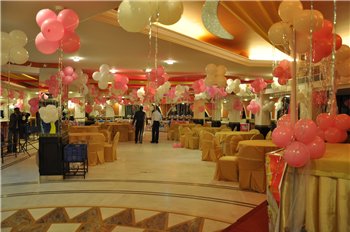 Malik Tent & Light House