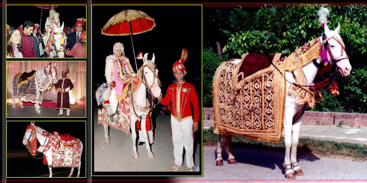 Swagat Band The Wedding Makers in Delhi