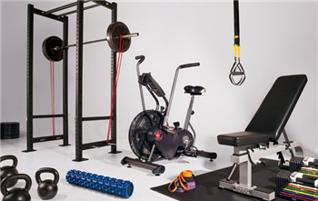 The Royal Brijwasi Gym