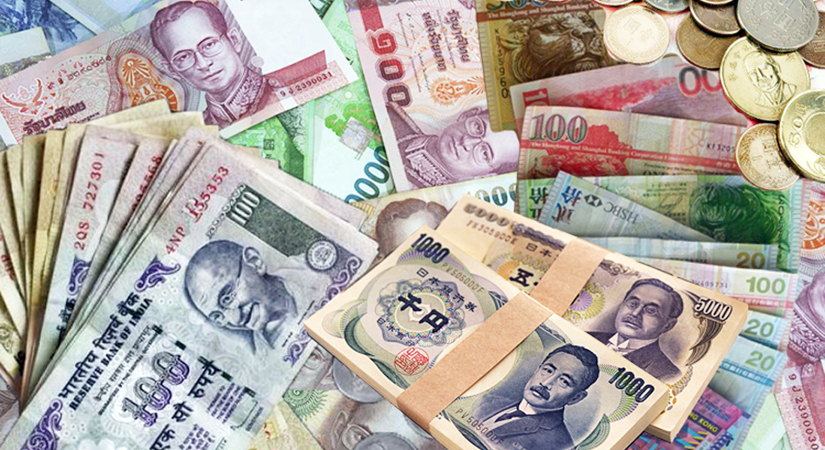 Alpha Tour And Travels