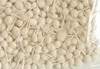 Sundar Shyam Sharma & Sons