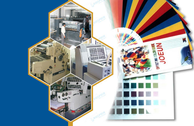 Dolphin Printo Graphics