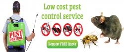 Aadhunic Pest Control Service in Delhi