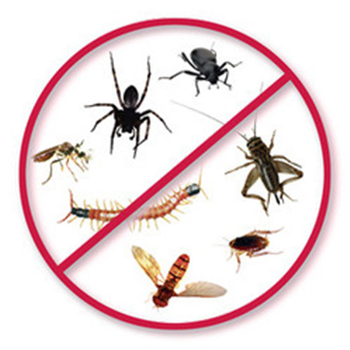 Aadhunic Pest Control Service