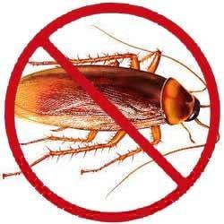 Aadhunic Pest Control Service