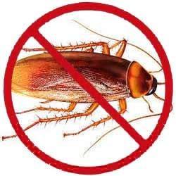 Aadhunic Pest Control Service