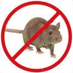 Aadhunic Pest Control Service