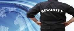 ANCHOR SECURITY SERVICES (REGD.) in Delhi